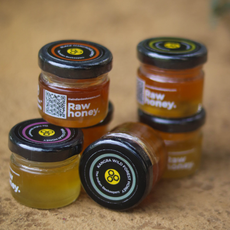 Raw Honey Assorted Sampler Taster Box Pack of 6 - 35gm each