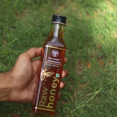 Kangra Wild Forest Raw Honey - 365gm