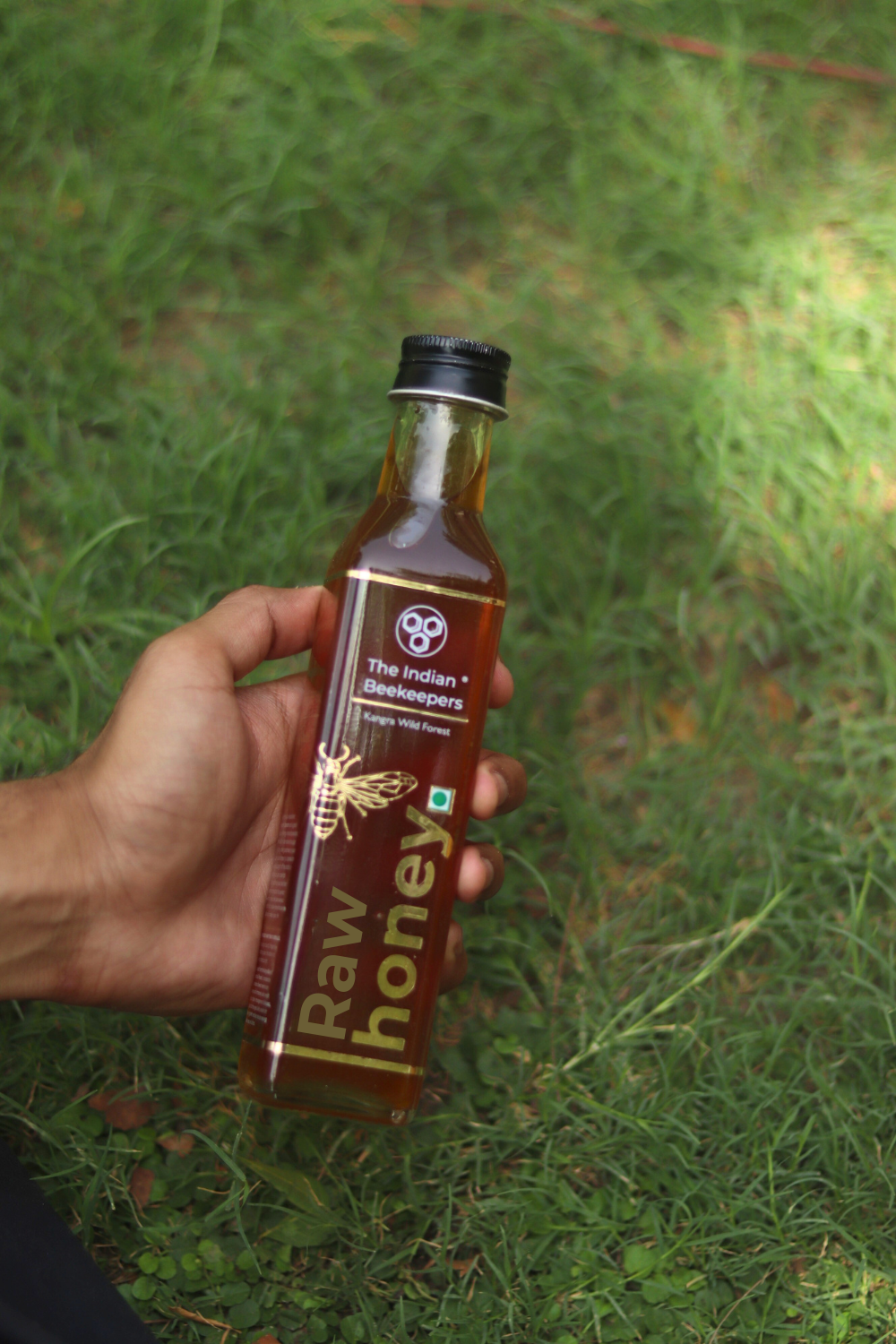 Kangra Wild Forest Raw Honey - 365gm